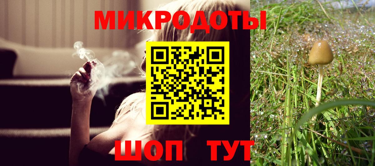 Галлюциногенные грибы Magic Shrooms  Вход с VPN  Кингисепп 