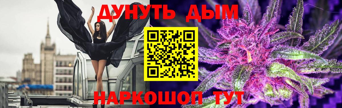 Шишки марихуана конопля  Каннабис LSD WEED  Вход с VPN  Кингисепп 